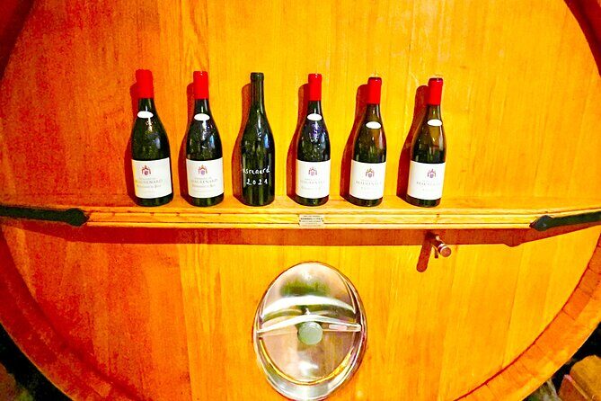 3 hours of Tour in the Wines of Châteauneuf-du-Pape - Who Should Consider This Tour?