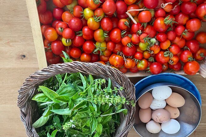 3 Hours Private Course Traditional Apulian Cuisine - Hands-on - Final Thoughts
