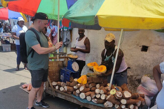 3 Hours Private Ocho Rios highlight - In-Depth Review of the 3-Hour Private Ocho Rios Highlight Tour