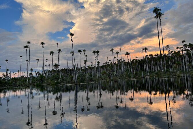 3 Hours Private Piranha Fishing in Lake Yacumama - Key Points