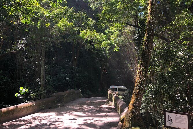 3 Hours Private Royal Highlight Tour in St. Kitts - Who Should Book This Tour?