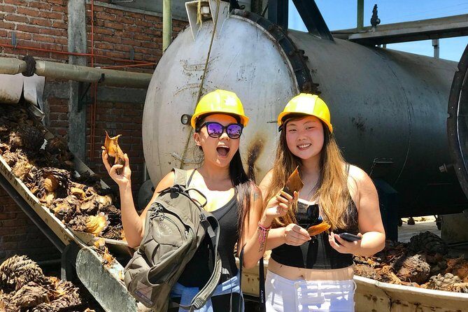 3 Hours Private Tour Guide in Guadalajara - A Personalized Introduction to Guadalajara in Just 3 Hours