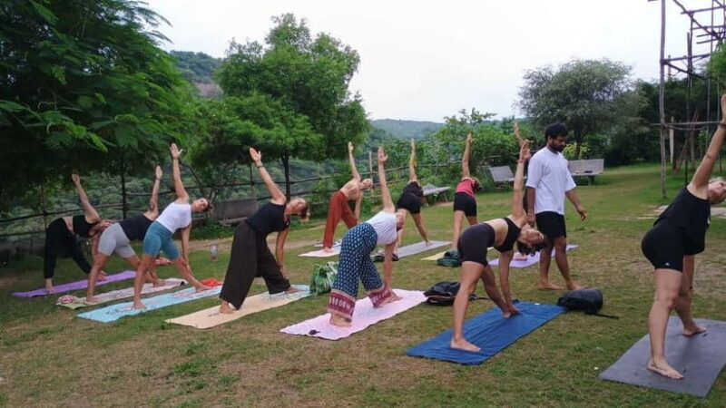 3 Hours Private Yoga and Meditation Tour in Jaipur - Who Will Enjoy This Tour?