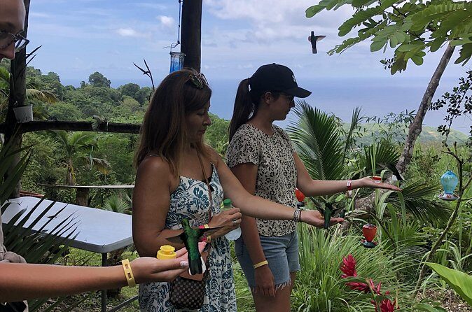 3 Hours Rainforest Walk in Tobago (Private) Lunch + Hummingbirds - Final Thoughts: Is This the Right Tour for You?