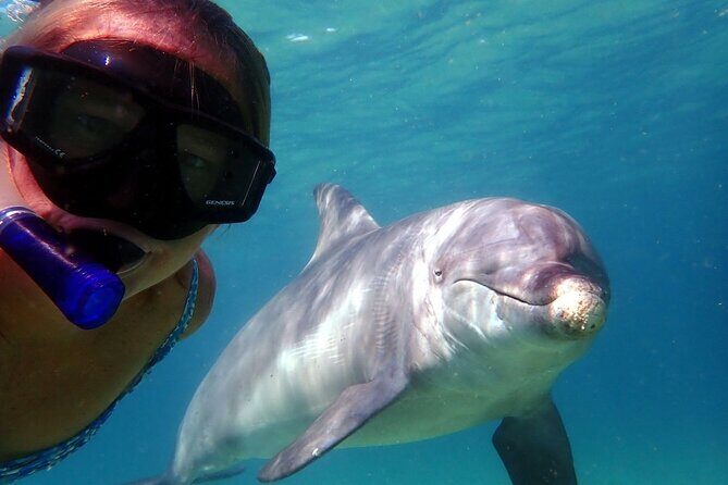 3 Hours Shell Island Experience - In-Depth Review of the Shell Island Tour