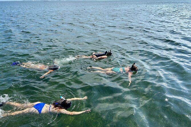 3 Hours Snorkeling Excursion in South Padre Island - Final Thoughts