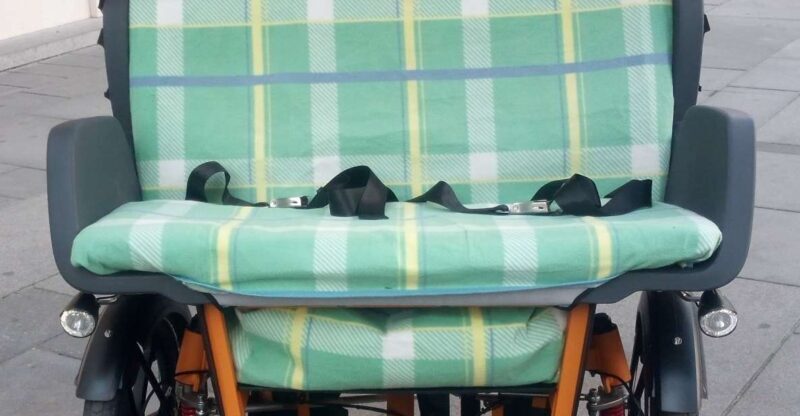 3 hours tour Vienna on RAXI (electric rickshaw) - A Deep Dive into the RAXI Vienna Experience