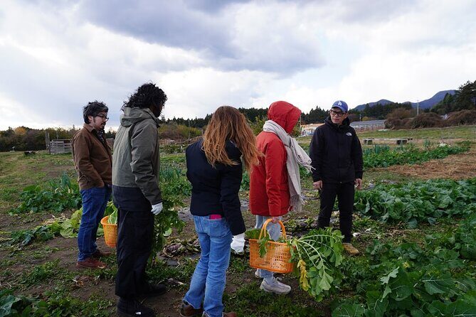 3 Hours Vegetables Harvest Activity Nearby Tokyo - In-Depth Look at the Vegetable Harvest Tour