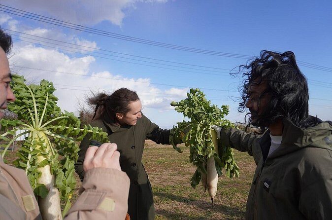 3 Hours Vegetables Harvest Activity Nearby Tokyo - FAQs