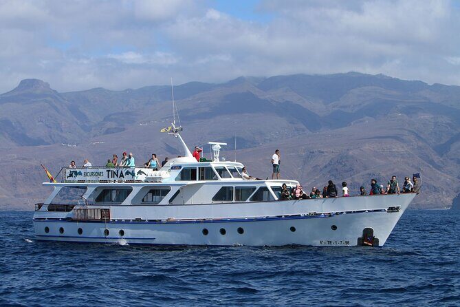 3 hrs Boat Excursion for whale watching from Valle GR (La Gomera) - Who Will Love This Tour
