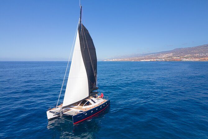 3 hrs. Whale Watching and Relaxing Chill Out Catamaran with glass floor - Experience Tenerife’s Marine Marvels with a 3-Hour Whale Watching Catamaran Tour