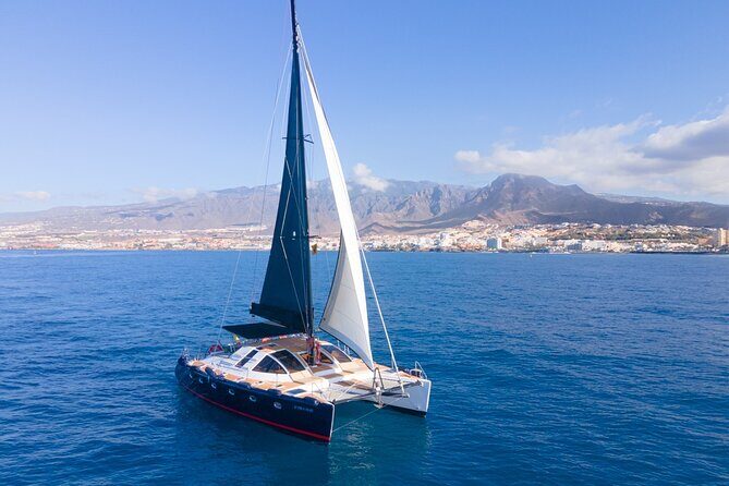 3 hrs. Whale Watching and Relaxing Chill Out Catamaran with glass floor - Practical Details & Considerations