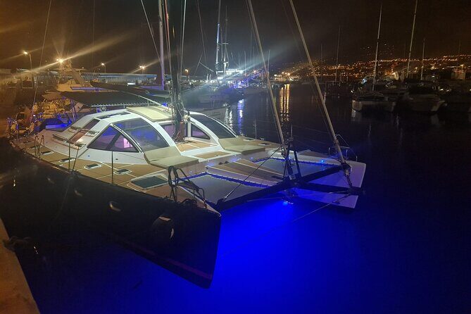 3 hrs. Whale Watching and Relaxing Chill Out Catamaran with glass floor - FAQs about the Tenerife Whale Watching and Chill-Out Catamaran