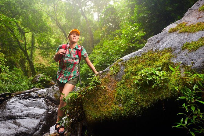 3 in 1 Eco Tour Rain Forest Aerial Tram, River Cruise & Nature Walk Private Tour - Detailed Breakdown of the Experience