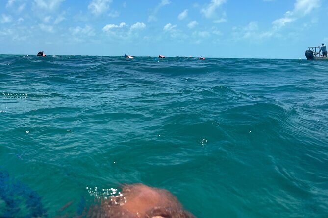 3 in 1 Experience in Tulum - Snorkeling in the Largest Coral Reef in the Americas