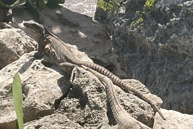 3 in 1 Experience in Tulum - Whats Included and Whats Not