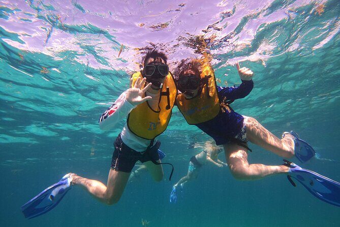 3 in 1 Jungle Tour Adventure Cancun - Final Thoughts