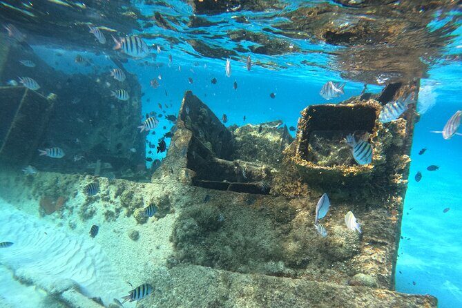 3 in 1 Jungle Tour Adventure Cancun - FAQs