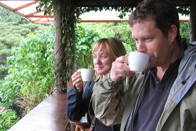 3-in-1 Monteverde Cloud Forest Coffee, Chocolate and Sugar Cane Tour - Key Points