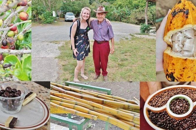 3-in-1 Monteverde Cloud Forest Coffee, Chocolate and Sugar Cane Tour - FAQ