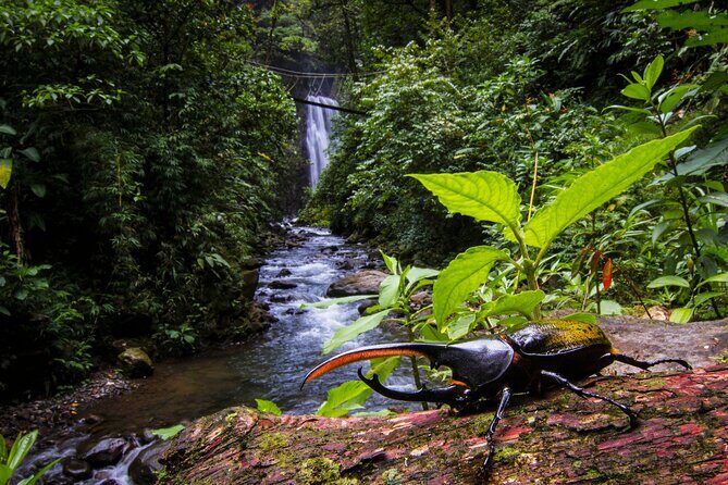 3-in-1 Monteverde Cloud Forest Waterfalls, Wild Trekking and Horseback Riding - Why This Tour Is Worth Considering