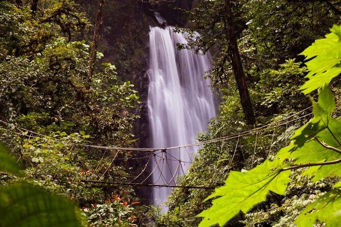 3-in-1 Monteverde Cloud Forest Waterfalls, Wild Trekking and Horseback Riding - The Itinerary Breakdown