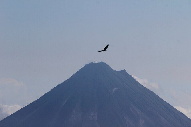 3-in-1 Monteverde Cloud Forest Waterfalls, Wild Trekking and Horseback Riding - Frequently Asked Questions (FAQs)