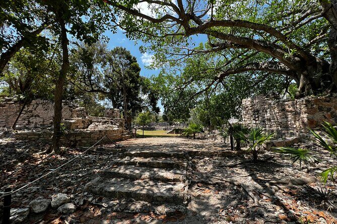 3 in 1 Snorkeling, Parasailing, with Turtle - Who Will Love This Tour?