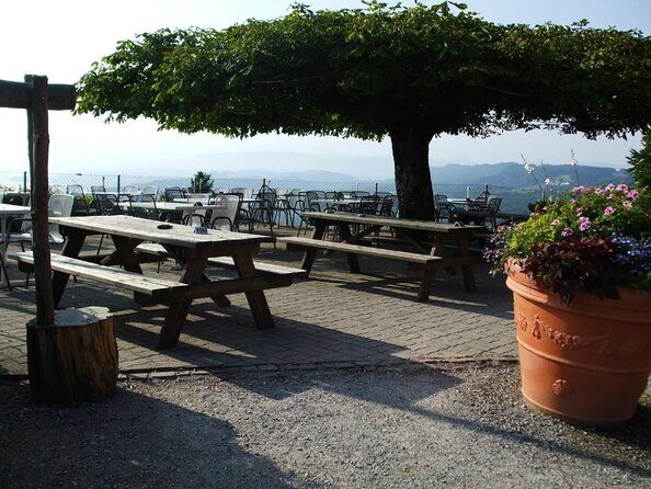 3 in 1: Zurich Walking Tour - Cruise on the Lake - Cable Car Ride to Felsenegg - An In-Depth Review of the 3-in-1 Zurich Experience