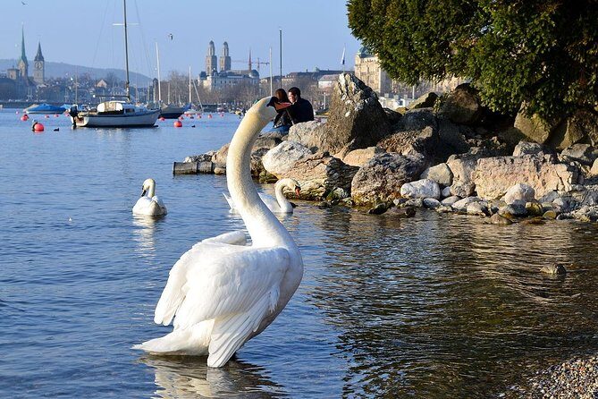 3 in 1: Zurich Walking Tour - Cruise on the Lake - Cable Car Ride to Felsenegg - Who Would Love This Tour?