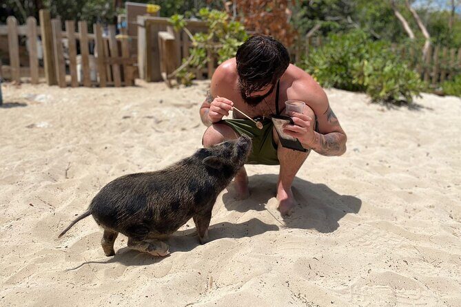 3 Islands Private Group Excursion (4hrs) - A Closer Look at the 3 Islands Private Group Excursion