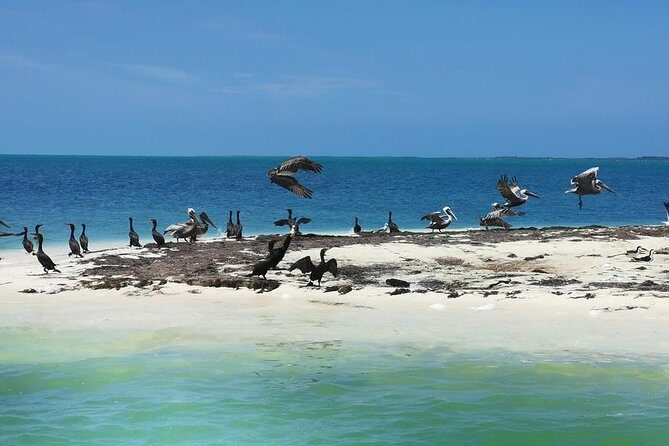 3 Islands Snorkel on boat, Isla Blanca, Contoy, Mujeres - Exploring the Tour in Detail