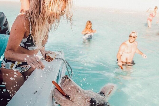 3 Islands Tour, Swim with Pigs, Turtles, Snorkelling & lunch - Final Thoughts