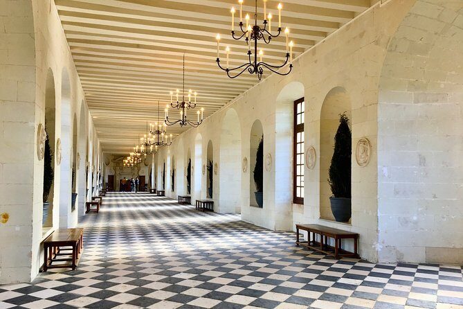 3 Loire Castles Live Guided Small group trip by minivan Winery - Who Will Love This Tour?