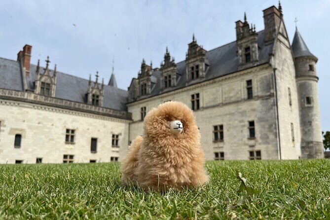 3 Loire Valley Castles and Wine Tasting Private Guided Tour - Final Thoughts