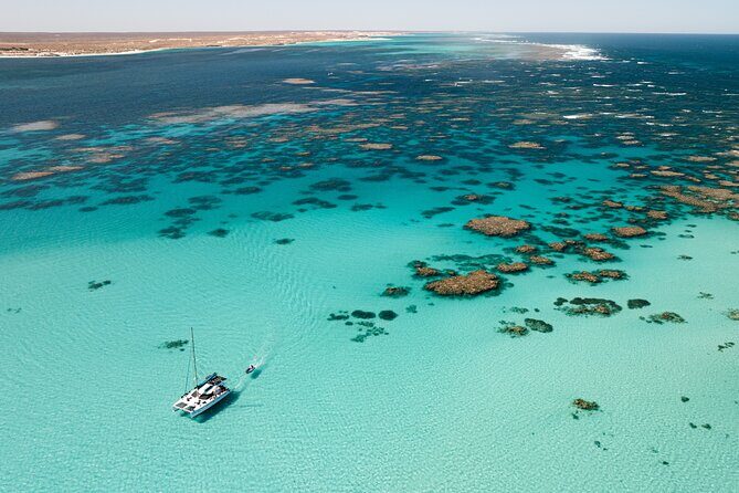 3 Night Ningaloo Reef Snorkel and Dive Getaway from Coral Bay - An In-Depth Look at the Tour