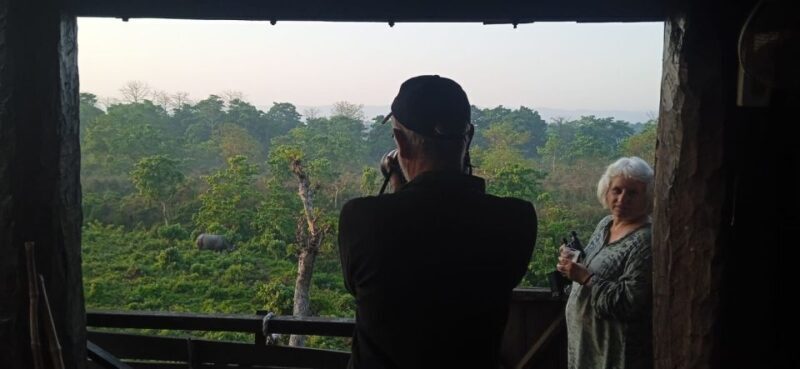 3 Nights 4 Days Chitwan National Park with Tower Night Stay - A Complete Look at the 4-Day Chitwan Adventure