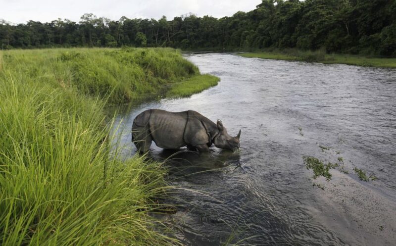 3 Nights 4 Days Chitwan National Park with Tower Night Stay - FAQ