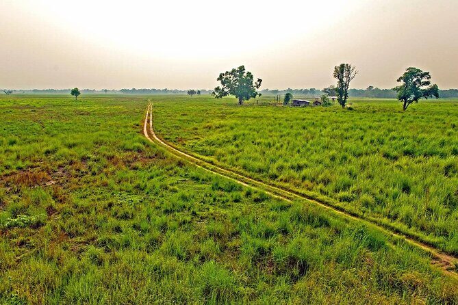 3 Nights 4 Days Chitwan National Park with Tower Night Stay - What Makes This Tour Stand Out?