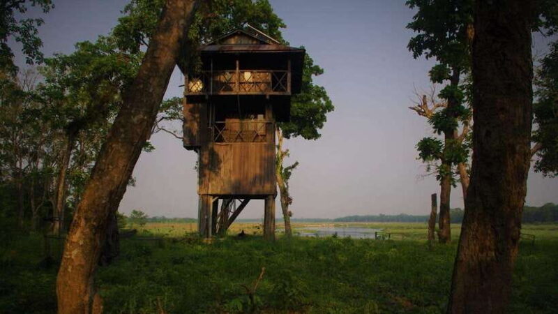 3 Nights 4 Days: Chitwan National Park with Tower Night Stay - Key Points