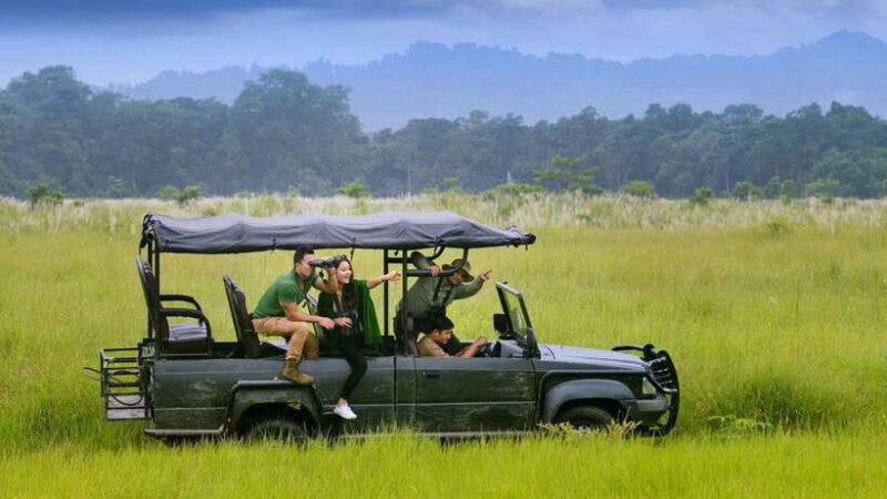 3 Nights 4 Days: Chitwan National Park with Tower Night Stay - Who This Tour Is Best For