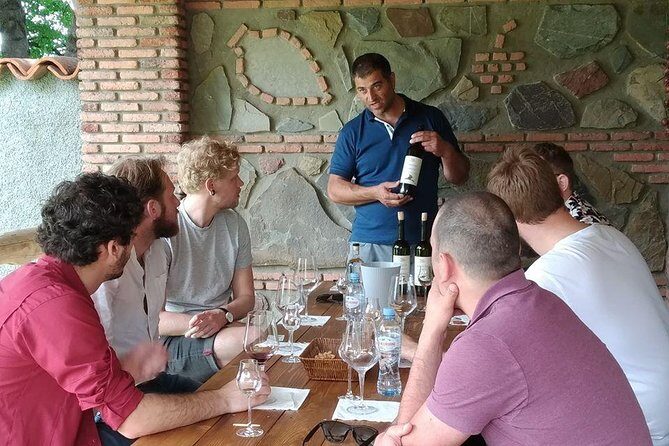 3 Organic Wineries Private Day Trip to Wine Province With Lunch and Tastings - What’s Included and What to Consider
