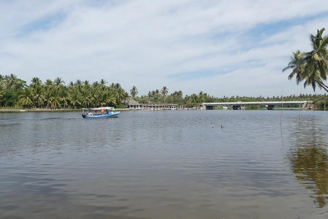 3 Palos Lagoon AfroMex Village Turtle Release & Croc Farm Visit - Final Thoughts