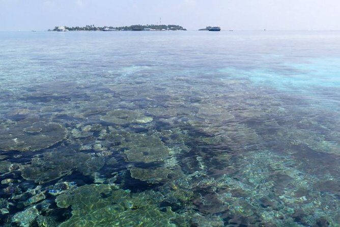 3 Point Snorkeling Safari - Comprehensive Review of the 3 Point Snorkeling Safari in the Maldives