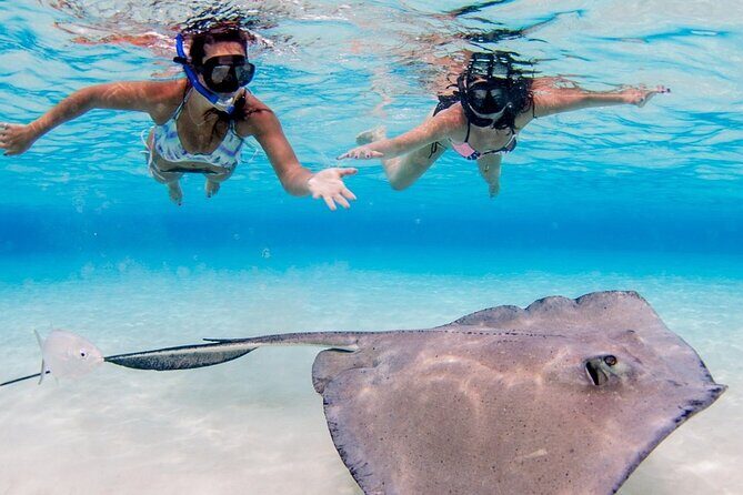 3-stop Adventure: Stingray City and snorkeling at Cayman Reefs - Key Points