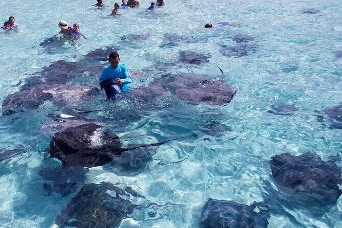 3 Stop Boat Tour Stingray City Coral Gardens and Starfish Point - A Detailed Look at the 3-Stop Boat Tour