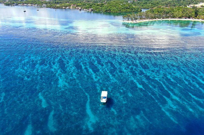 3 Stop Snorkel Hopping & Beach in Roatan - Final Thoughts