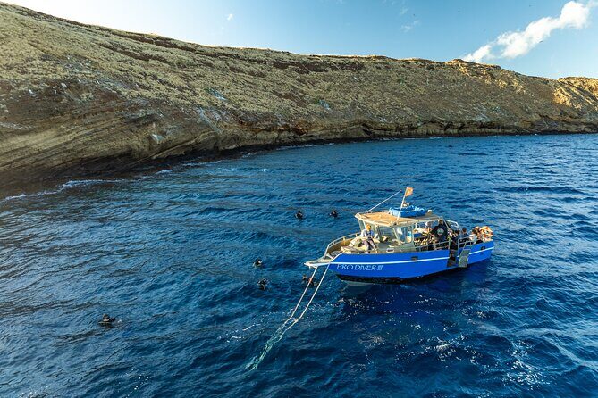 3-Tank Dive Featuring the Molokini Crater - The Sum Up: Why You’ll Love This Tour