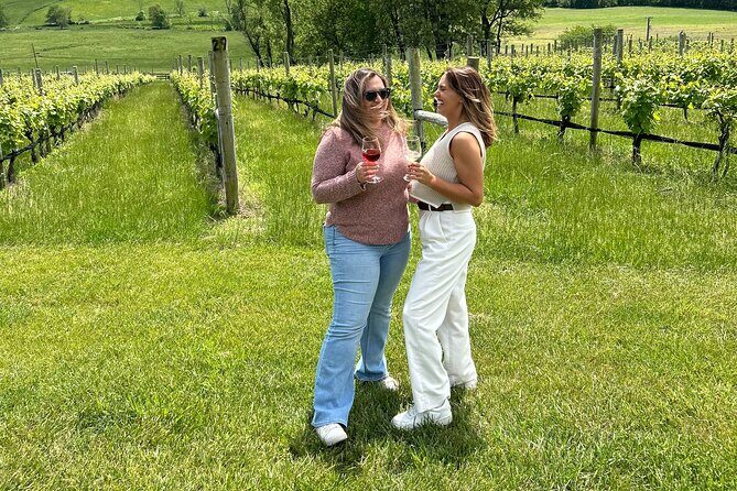 3 VA Wineries Day Trip with Optional Tasting-Inclusive Upgrade - Key Points