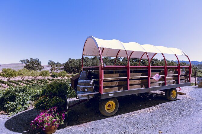 3-Winery Tour Includes Lunch from Paso Robles & Atascadero - The Experience: Step-by-Step Breakdown